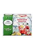 Tisana a Freddo Sgonfiante Digestiva